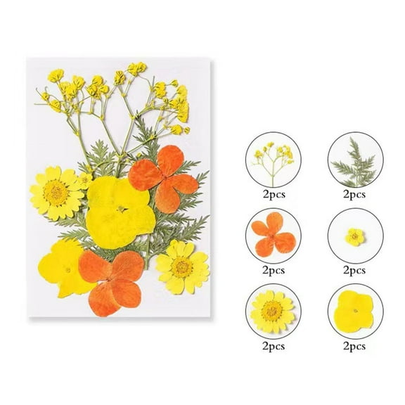 YOHAVEN Colorful Natural Dried Flowers Decorative Embossed Set Pressed Flowers for Scrapbooking DIY Resin Art Frame Decor Wedding Card Making Home Decoration