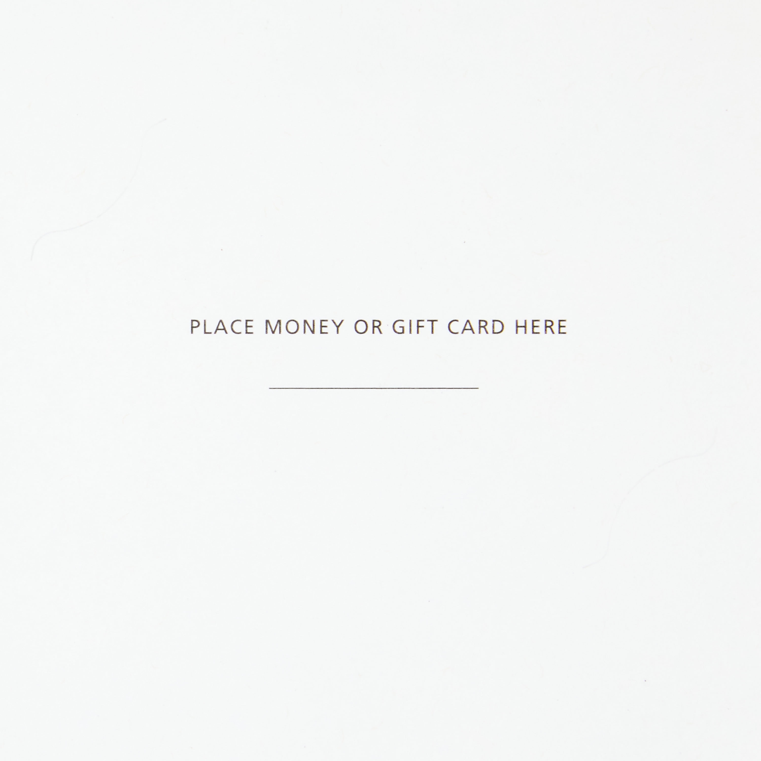 Connections from Hallmark Money Holder Graduation Cards, 10 ct. (Life Is a Story)