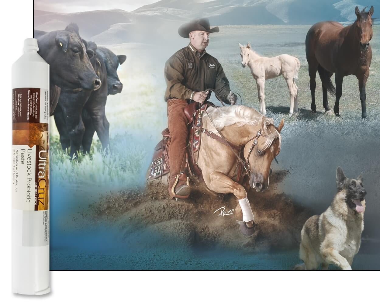 UltraCruz®Livestock Probiotic Paste, 300 ml