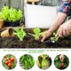 thumbnail image 2 of TABLETREANDS 2Ud Cubierta De Plantas Funda De Tela No Tejida Para Protección Y Protección Heladas, 2 of 5