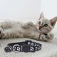 thumbnail image 1 of «Collar para gatos con cierre de seguridad y (collar de nylon tejido de colores para mascotas)», 1 of 5