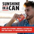 thumbnail image 3 of Shine Water Fruit Punch Vitamin D Electrolyte Drinks 12-Pack, Sugar Free Flavored Water with Magnesium, Zinc & Antioxidants, Low Calorie Hydration, 3 of 7