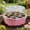 I, variant on Upgraded 13 Hole Covered Breathable Seeded Box And Seeded Tray Cultivation Box Green Plants Cultivation Tray Set Equipped With Adjustable Ventilation Openings H