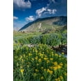 thumbnail image 2 of Garber, Howie 17x24 Gold Ornate Wood Framed with Double Matting Museum Art Print Titled - Arnica and bluebell wildflowers next to creek-Absaroka Mountains near Cody and Meeteetse-Wyoming, 2 of 4