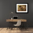 thumbnail image 4 of Benno Raffael Adam 24x19 Black Modern Framed Museum Art Print Titled - Horse Portrait (1872), 4 of 5