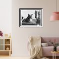 thumbnail image 3 of Historic Framed Print, Collie's head - 2, 17-7/8" x 21-7/8", 3 of 9