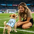 thumbnail image 6 of FENGGHAO Blue and White Argentina Dog Soccer Jersey, Breathable Pet Sportswear with Striped Design, Loose Fit Athletic Shirt for Dogs and Cats, 6 of 7