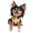 thumbnail image 2 of Sesame Street Big Bird Hoodie Pet Costume, 2 of 4