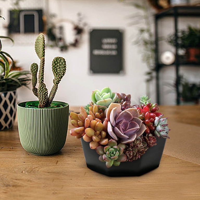 Fiaya Women Succulent Shallow Plant Pot, 1Pc Octagon Bowl Planter Container  with Drainage Hole, Small Resin Cactus Flower Pot for Office Home Garden  Kitchen Decor, 8.2x3.9inch (Black) - Walmart.com