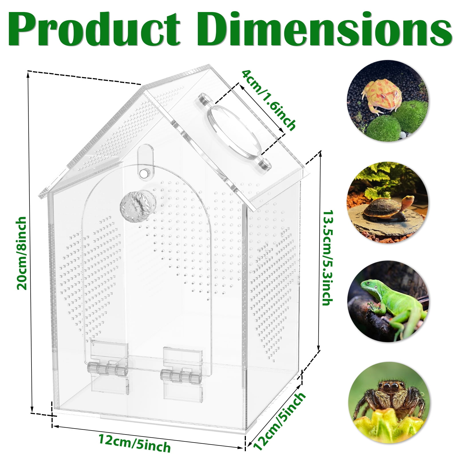 Ikoopy Jumping Spider Enclosure Warp Proof Seamless Acrylic Tarantula Terrarium Front Opening Spider Habitat with Feeding Port for Praying Mantis Hermit Crab Snail Micro Reptile (4.72x4.72x7.87 inch)