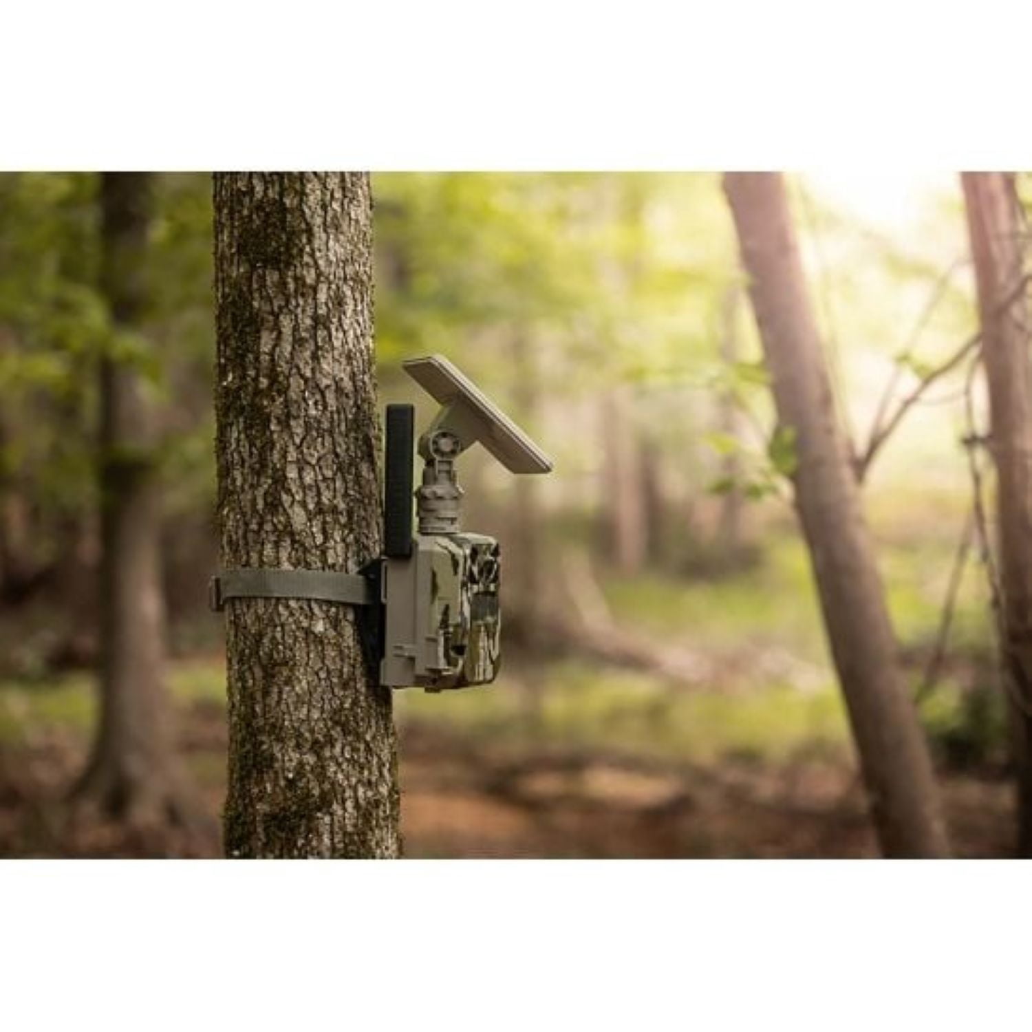 Moultrie Edge Cellular Solar Game Camera Mossy Oak Bottomland - MMC-14230