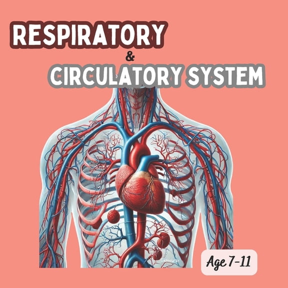 Respiratory and circulatory system: Circulatory System, Parts of the Heart, Parts of the Circulatory System, Respiratory, (Paperback)