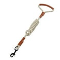 thumbnail image 1 of AAOMASSR Dog Leash  5FT Nylon Reflective Leash  Soft Padded Handle Thick Leash for Large Medium Dogs Brown, 1 of 7