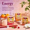 thumbnail image 3 of Yogi Tea - Peach Bergamot Bright Day Tea (4 Pack) - Supports Elevated Mood and Energy Levels - With Oolong and Green Tea Extract - Contains Caffeine - 64 Organic Tea Bags, 3 of 6