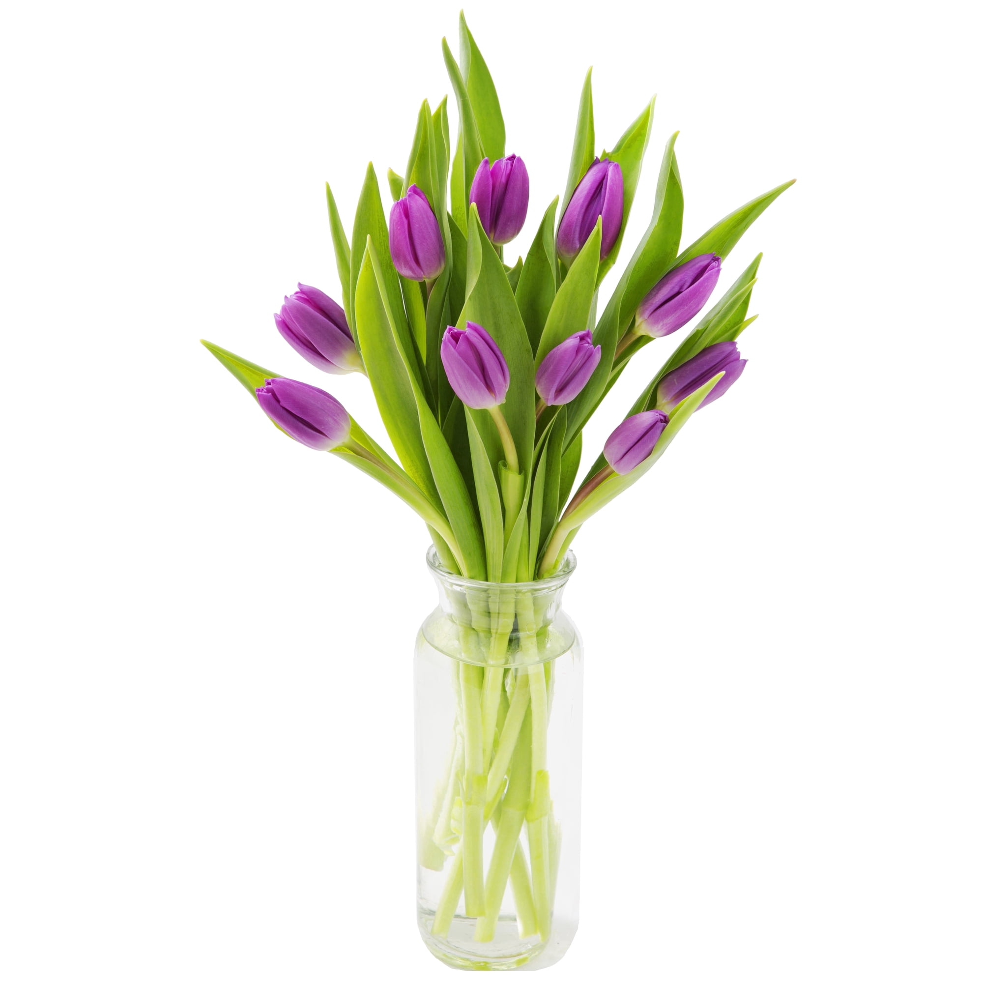 KaBloom : Bouquet of Fresh Purple Tulips with Vase, Next-Day Delivery, Gift for Every Occasion