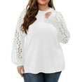 thumbnail image 2 of tarylea Over Size Tops for Women Crew Neck Lace Eyelet Long Sleeve Shirts Plunging Solid Color Blouse Dailywear, 2 of 7