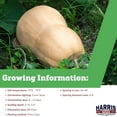 thumbnail image 2 of Harris Seeds - Winter Squash Avalon F1 Variety Orange Flesh - 5,000 Seeds, 2 of 7