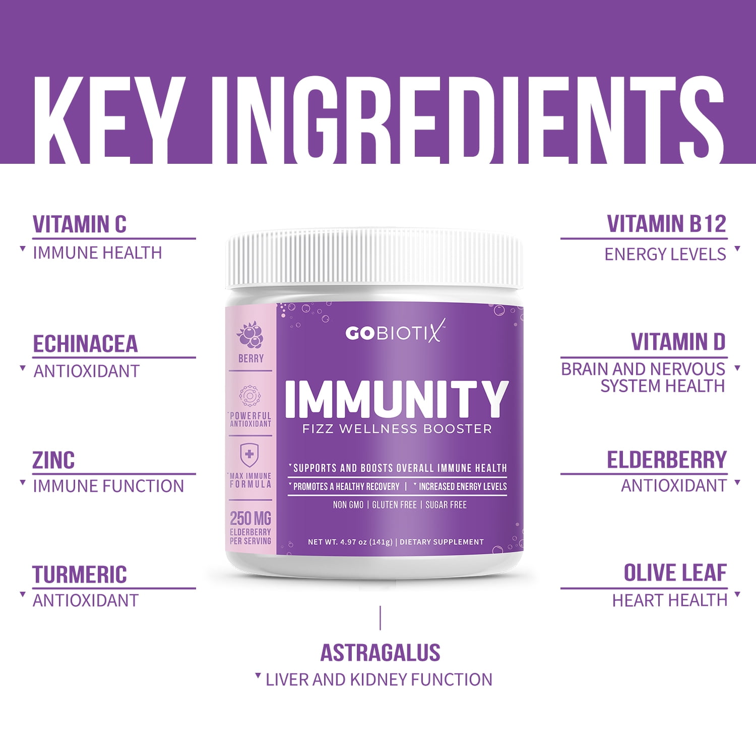 GoBiotix Immunity Fizz Drink with Vitamin C, Zinc & Elderberry for Immune Support, Berry, 30 Servings