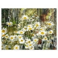 thumbnail image 2 of Designart 'Daisies Flowers Under the Window ' Floral Art Canvas Print, 2 of 4