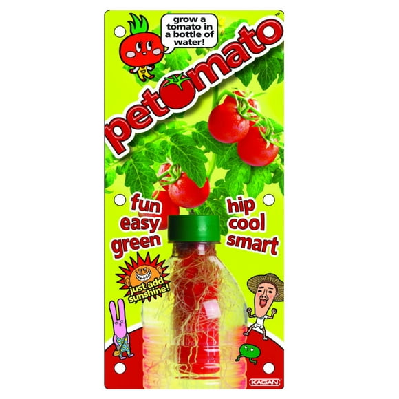 Petomato Indoor Cherry Tomato Garden Basil Plant Growing Conditions From Seed
