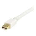 thumbnail image 3 of StarTech 2m 6 ft White Mini DisplayPort to DisplayPort 1.2 Adapter Cable, 3 of 4