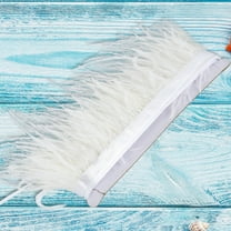 Duety Ostrich Feathers Trim 197 inch Fluff Ostrich Feathers Sewing Fringe Soft Garment Accessories Ostrich Feather Comfortable Ostrich Feathers Craft for DIY Dress Sewing Craft Clothing Decoration
