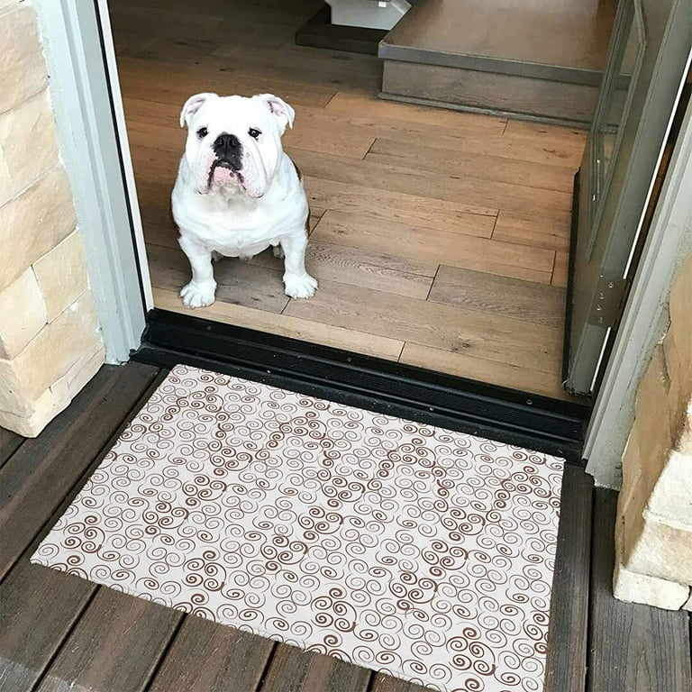 Walensee Indoor Doormat, Front Door Mat for Entrance, 20x32 Brown
