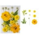 thumbnail image 3 of Flor seca natural DIY Decoraciones florales presionadas con flores en relieve conservadas hermosa decorativa para postal velas de scrapbooking amarillo Yuarrent HA010778-02, 3 of 7