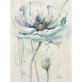 thumbnail image 3 of Pinto, Patricia 12x14 Black Modern Framed Museum Art Print Titled - Fresh Poppies II, 3 of 5