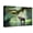 Canvas, variant on Art.com Wild Elephant in the Beautiful Forest at Kanchanaburi Province in Thailand, (With Clipping Path) Stretched Canvas Print Wall Art by bundit jonwises, 18" x 12"