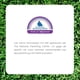 thumbnail image 4 of WFG WATERFALL GLEN SOAP COMPANY LLC Mistique sándalo pachulí y especias jabón de baño jabón corporal jabón vegano natural enriquecido con manteca de cacao, 4 of 5