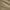Khaki, variant on Lee® Men's Flat Front Chino with Motion Flex Waistband