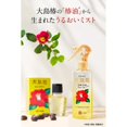 thumbnail image 2 of OSHIMA TSUBAKI OST Hair Water 180ml, 2 of 6
