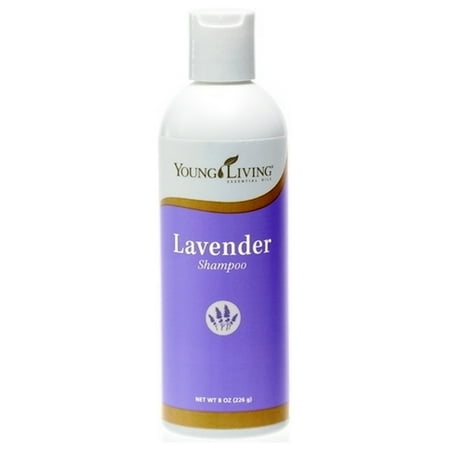 Young Living Lavender Shampoo 8 oz
