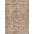 thumbnail image 2 of Addison Rugs Chantille Indoor/Outdoor Traditional Global Salmon Machine Washable Rectangle Rug, 8' x 10', 2 of 8