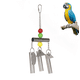 thumbnail image 1 of Soporte para loros, campanas para ardilla, campanas medianas y grandes, juguetes para loros, campanas de acero inoxidable, juguetes para jaula de loros Rojo Verde, 1 of 5