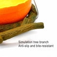 thumbnail image 5 of Parrot Feeder Fruit Shape Bird Orange Pomegranate Food Water Feeding Bowl Container Feeders for Crates Cages Coop Pet, 5 of 6