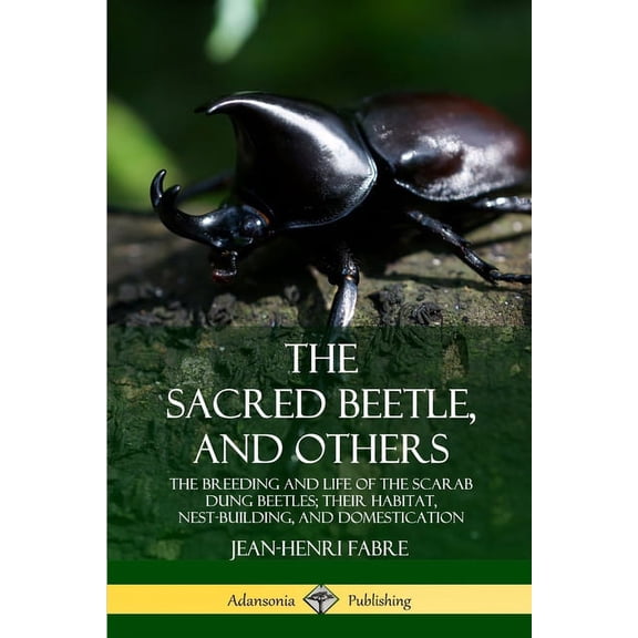 The Sacred Beetle, and Others: The Breeding and Life of the Scarab Dung Beetles; their Habitat, Nest-Building, and Domes, (Paperback)