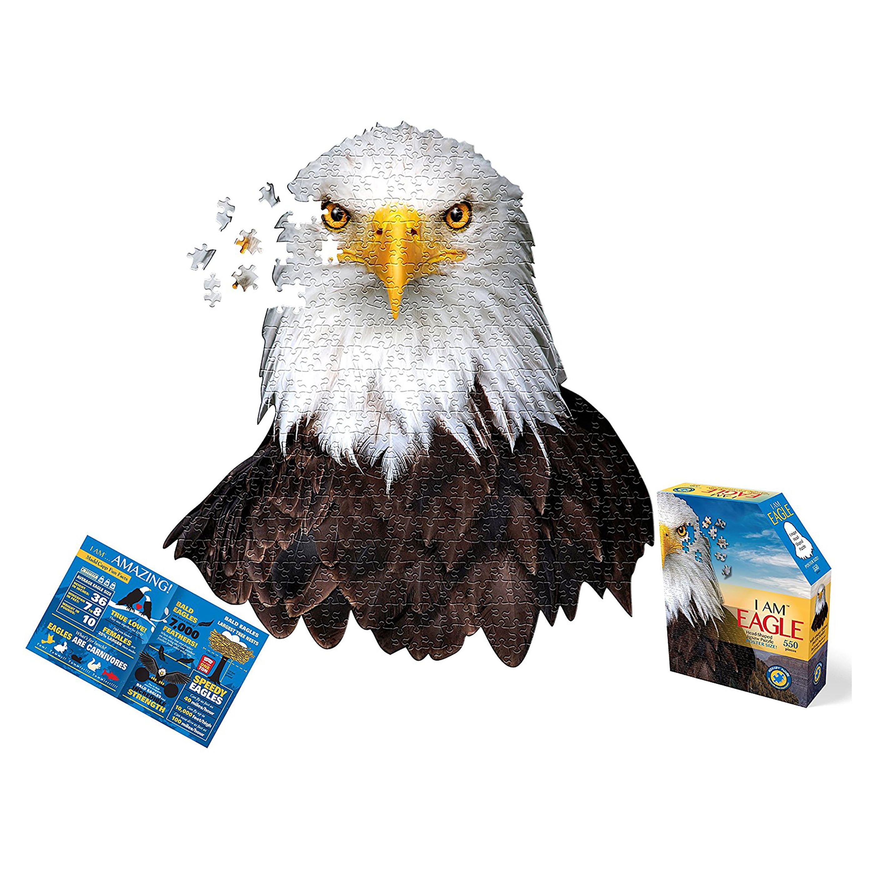 Bald Eagle Face 3D Lenticular Maxi Magnet Card 