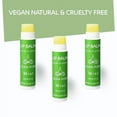 ALIDA PURE Mint Lip Balm Collection, Vegan Lip Balm, Beeswax Free, with