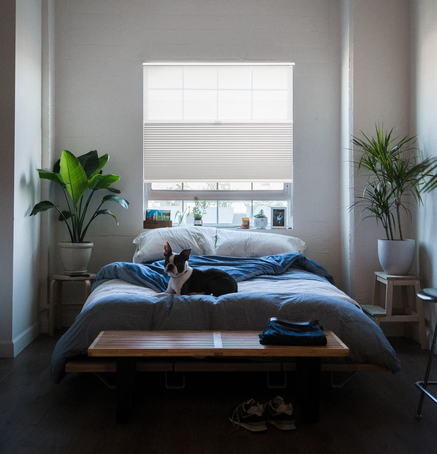 TrueView 48 Max. Length Cordless Cellular Day/Night Shade-White