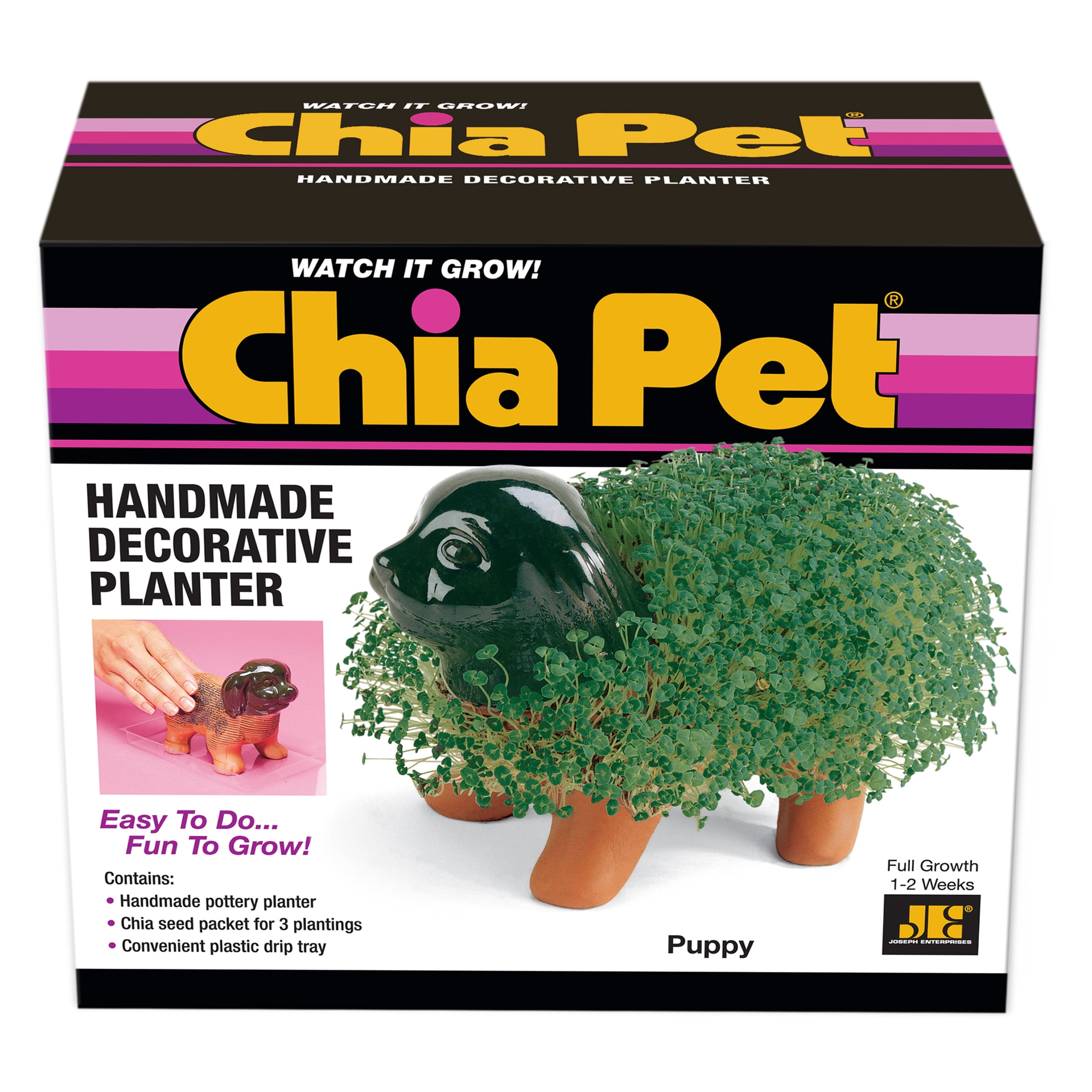 Puppy Classic Chia Pet Handmade Decorative Planter by JEI