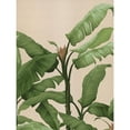 thumbnail image 3 of Urban Road 19x24 Black Modern Framed Museum Art Print Titled - Panama II, 3 of 5