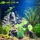 thumbnail image 5 of 10 piezas de hierba para pecera, planta decorativa de plástico para pecera, decoración para acuario para todos los peces, 5 of 6