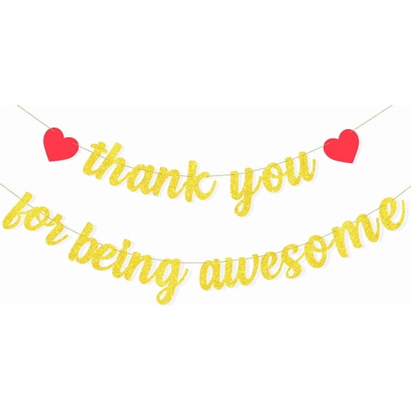 Thank You for Being Awesome Banner for Graduation Retirement Going Away Party Decorations, Appreciation Decorations for Employee Teacher Nurse Volunteer, Pre-Strung, No DIY