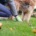 reaching-air-tight-dog-food-container-25-lb-leaf-for-hands-commodes-for
