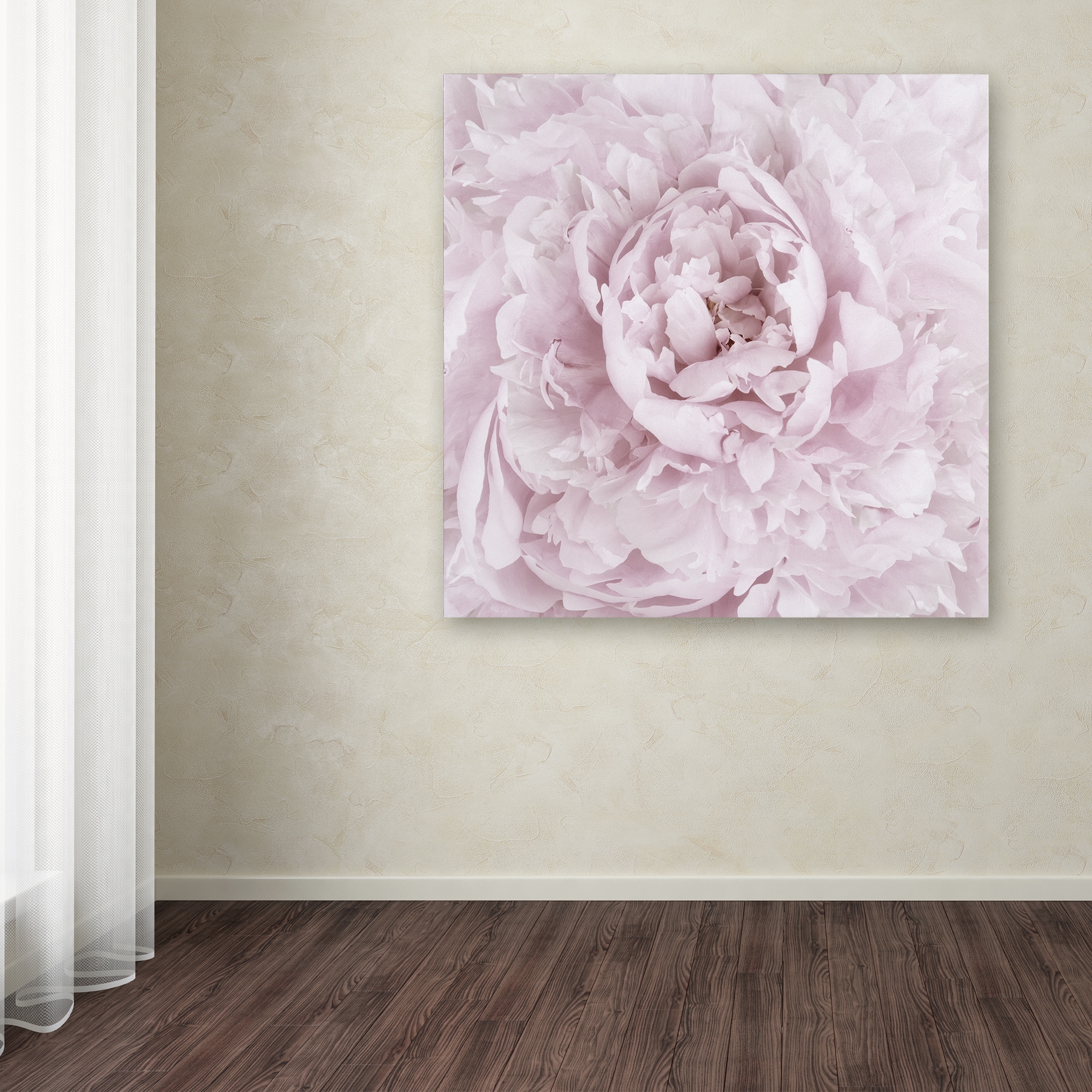 Trademark Fine Art 'Pink Peony Flower' Canvas Art by Cora Niele