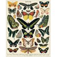 thumbnail image 2 of Cavallini Vintage Butterflies 1,000 Piece Puzzle, 2 of 3
