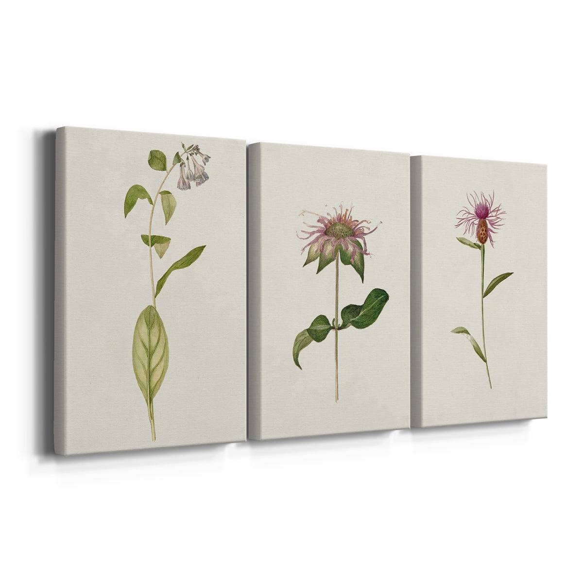 Mauve Garden Flowers IV Premium Gallery Wrapped Canvas - Ready to Hang - 40 x 60 Each