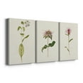 thumbnail image 3 of Mauve Garden Flowers IV Premium Gallery Wrapped Canvas - Ready to Hang - 24 x 36 Each, 3 of 10